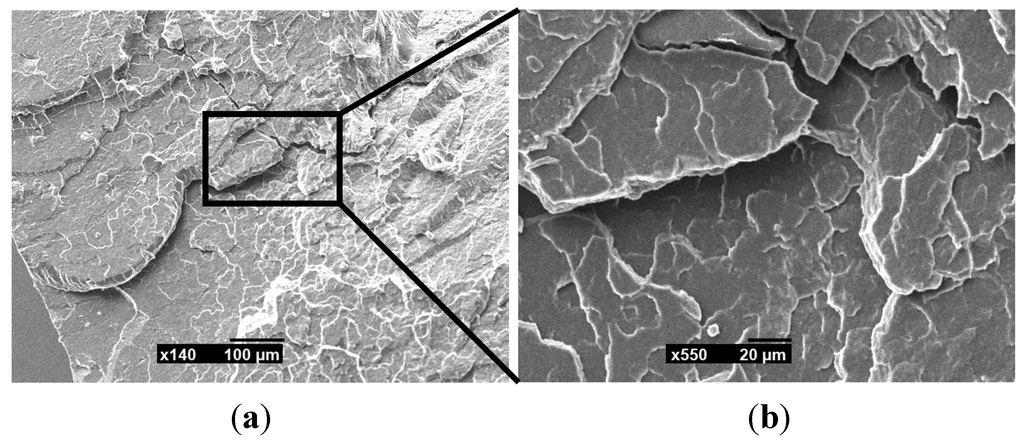 Polymers 06 02912 g008 1024