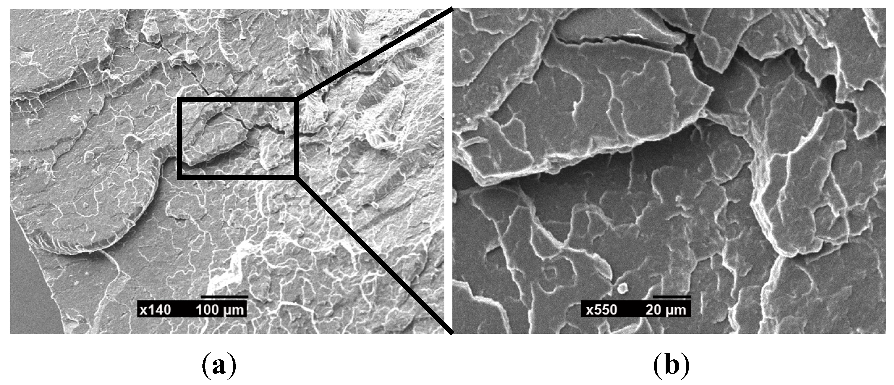 Polymers 06 02912 g008