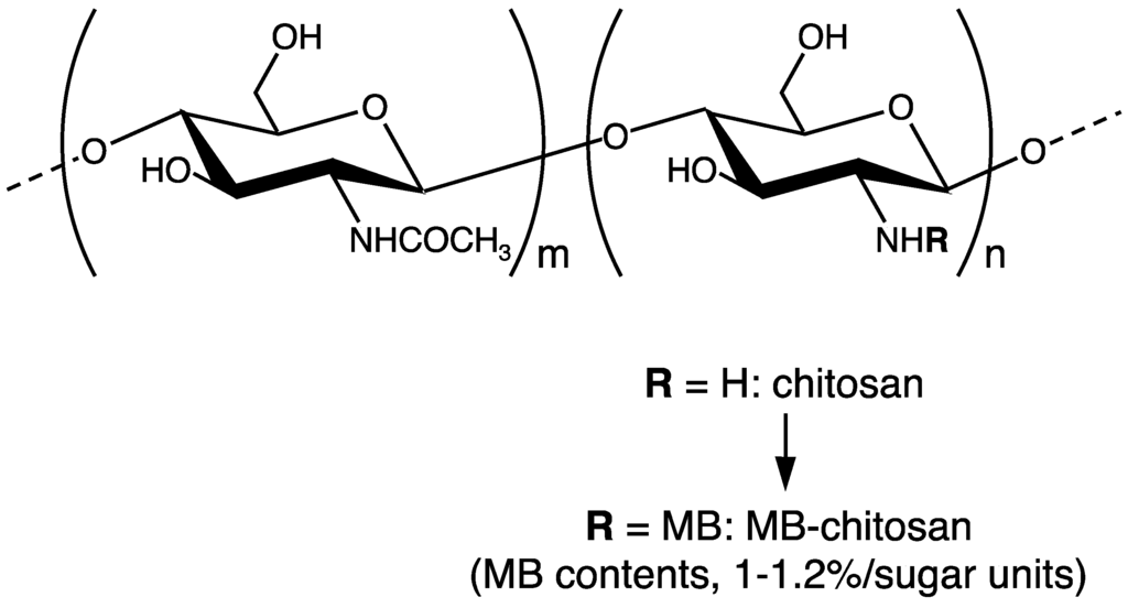 Polymers 07 00281 g003 1024