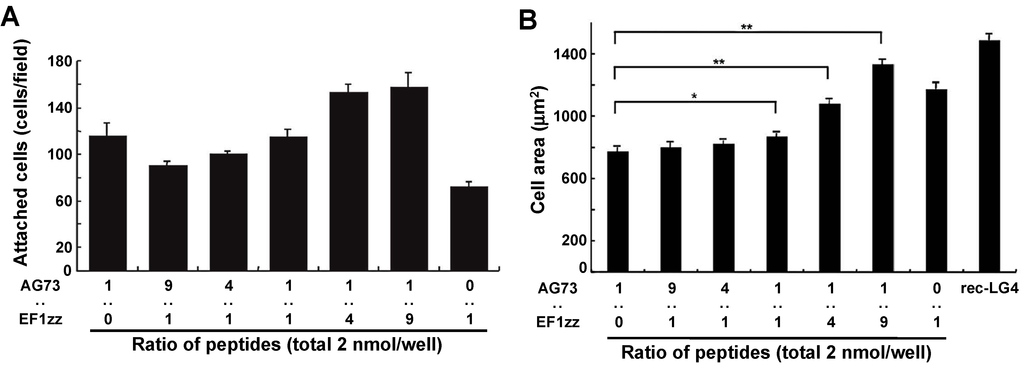 Polymers 07 00281 g005 1024