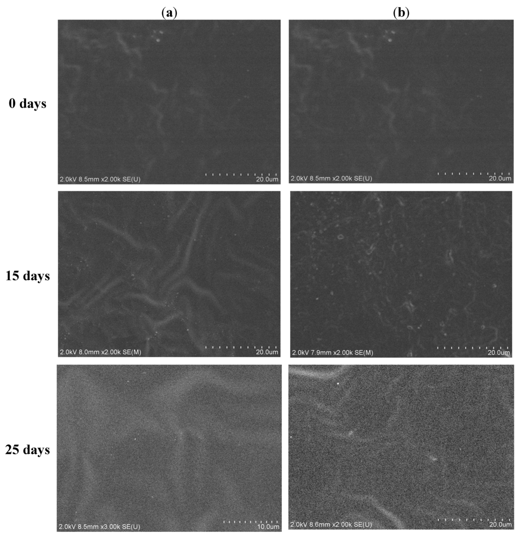 Polymers 07 00468 g007a 1024