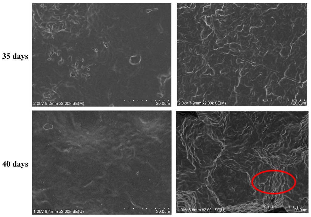 Polymers 07 00468 g007b 1024