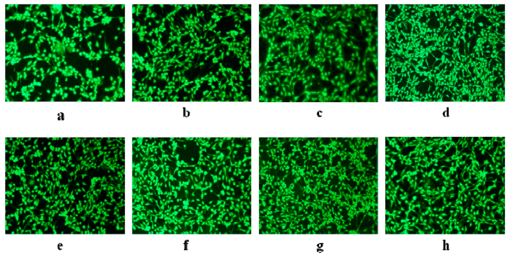 Polymers 07 00468 g009 1024