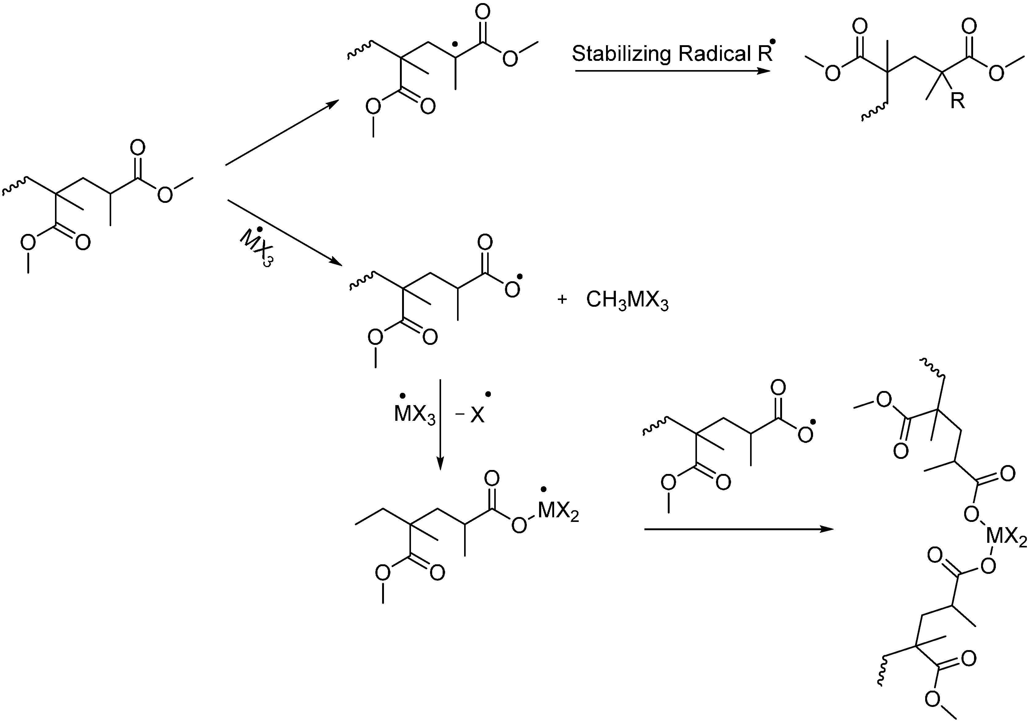 Polymers 07 00504 g007