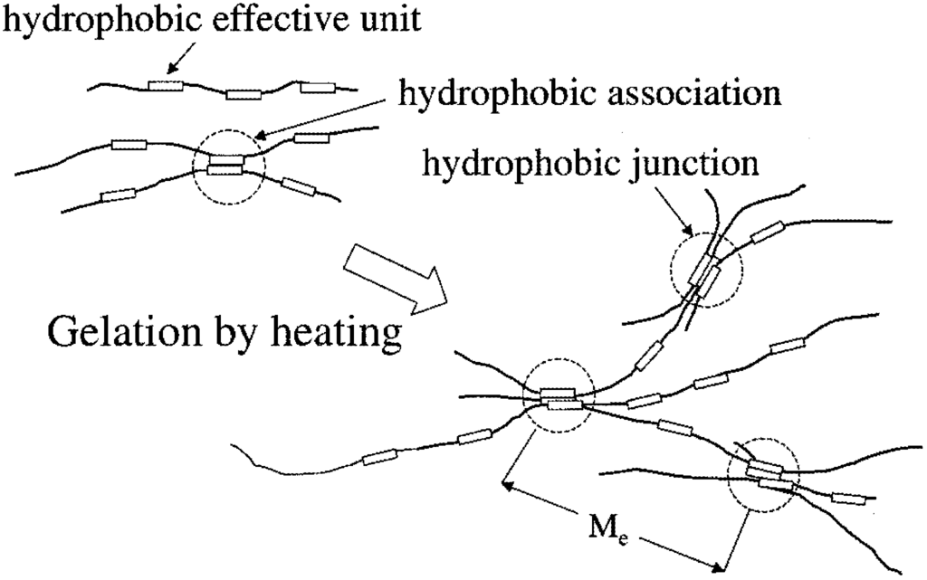 Polymers 07 00777 g009 1024