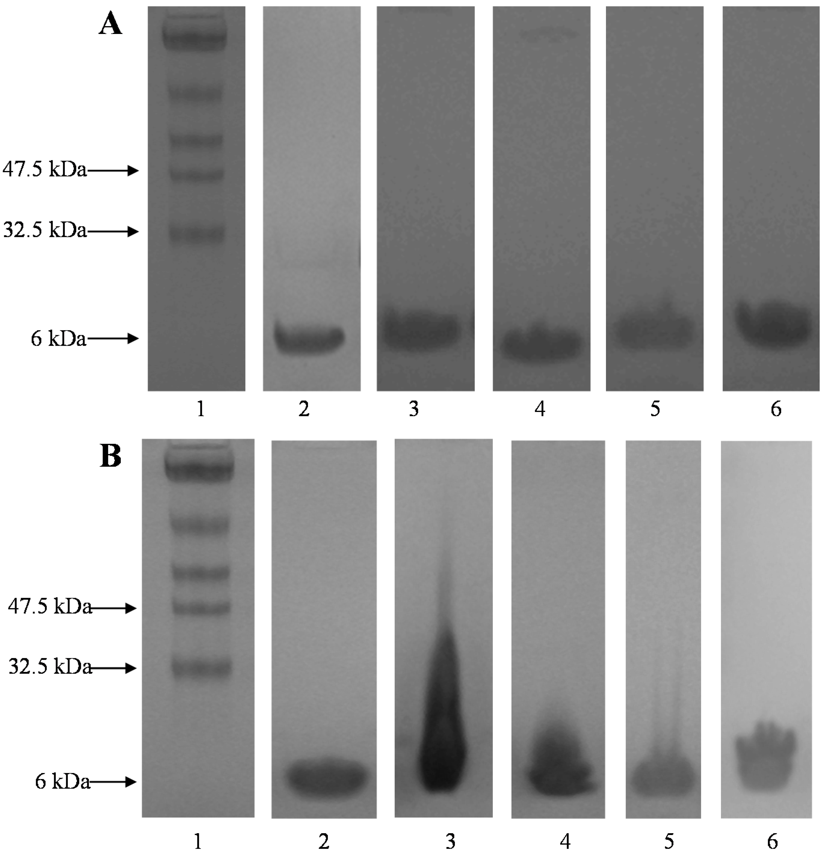 Polymers 07 00836 g003