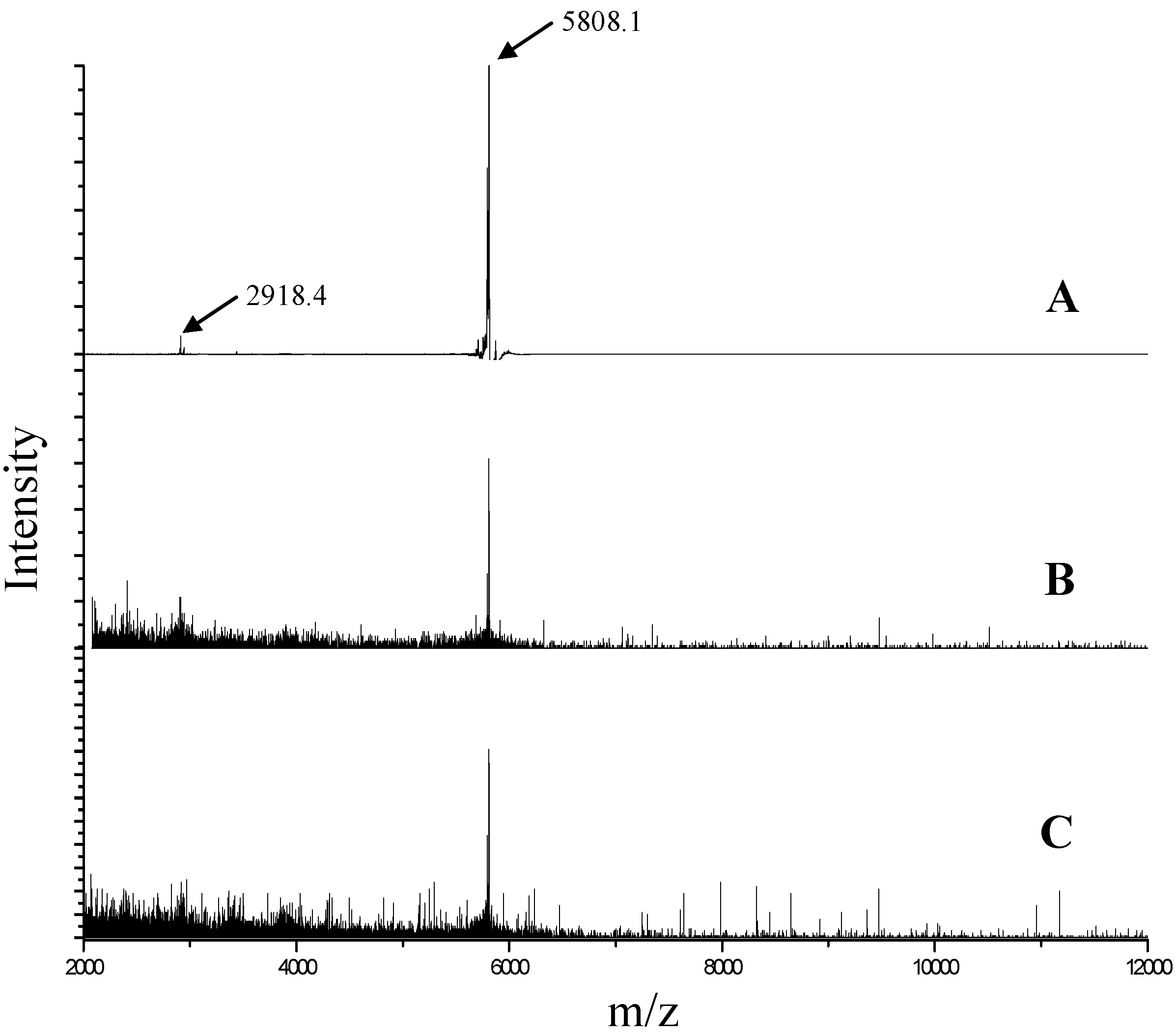 Polymers 07 00836 g006