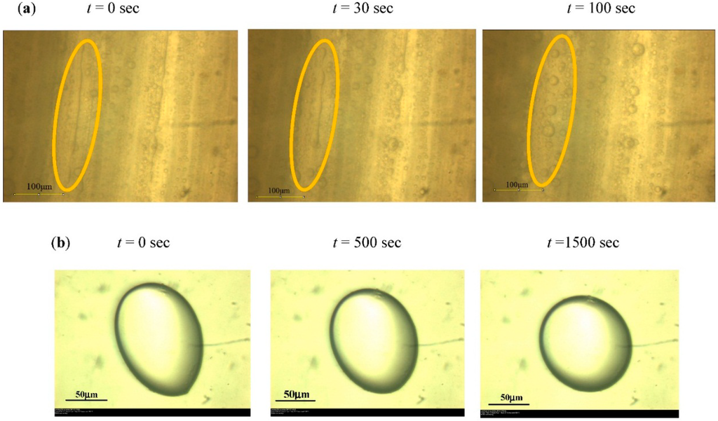 Polymers 07 00939 g004 1024