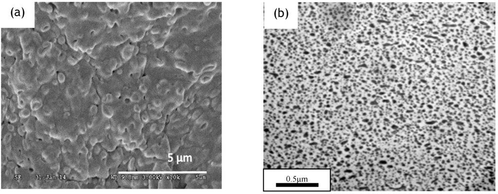 Polymers 07 00939 g005 1024