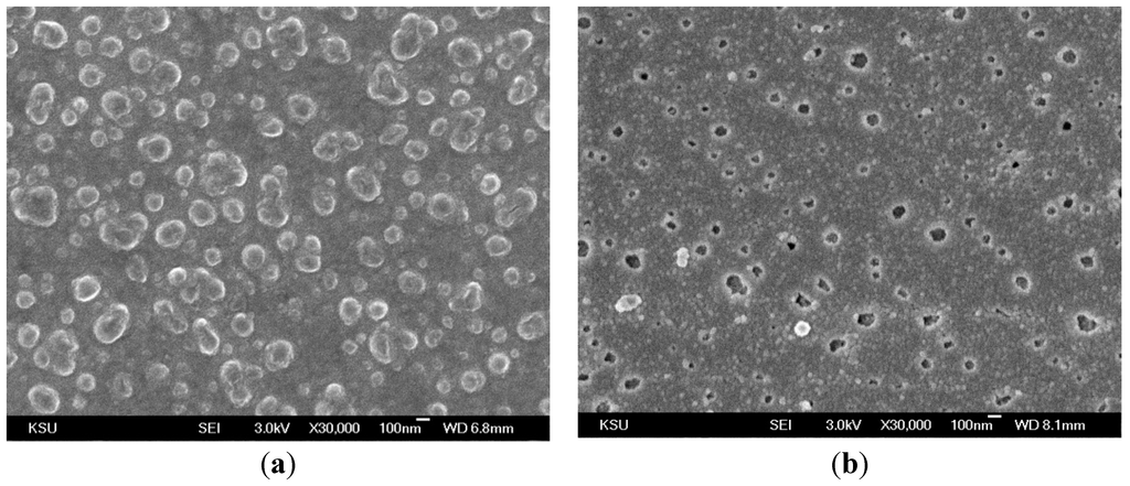 Polymers 07 01046 g008 1024