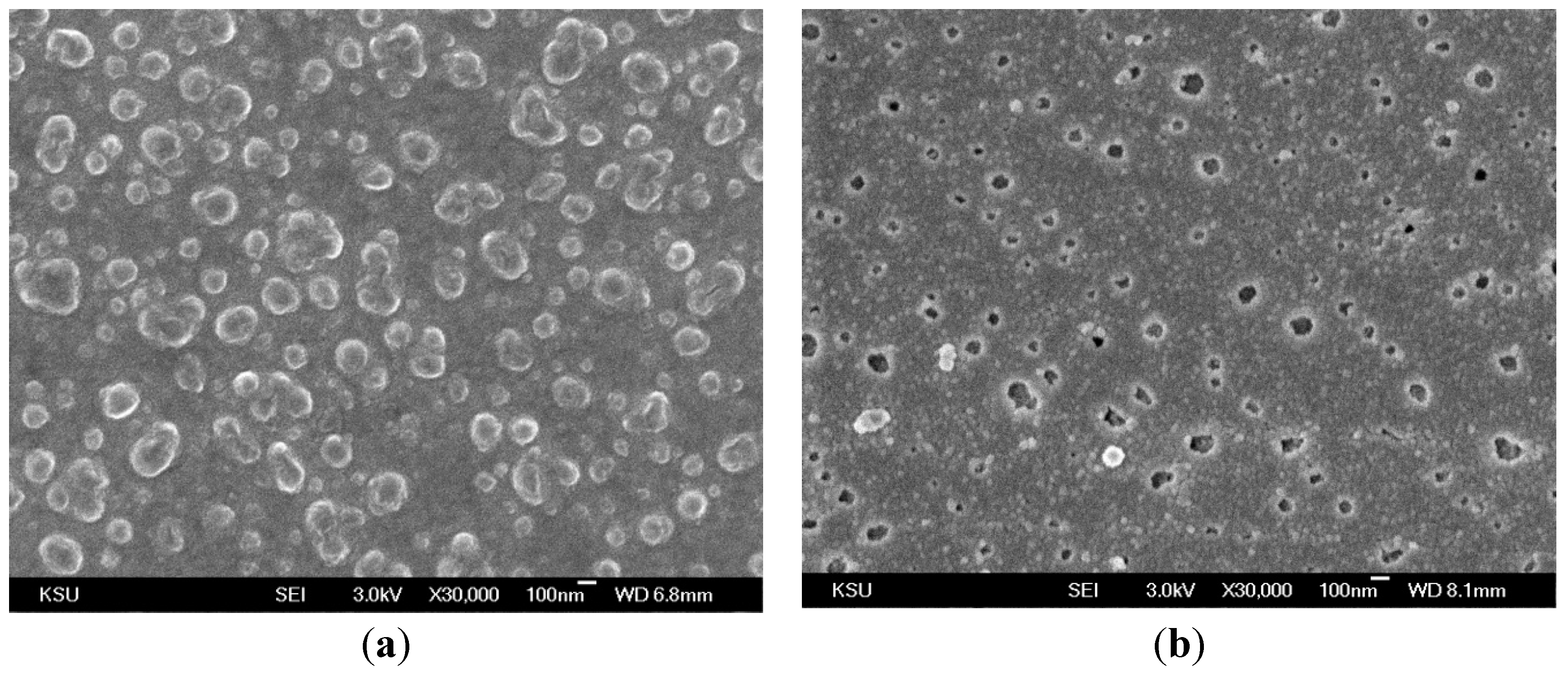 Polymers 07 01046 g008