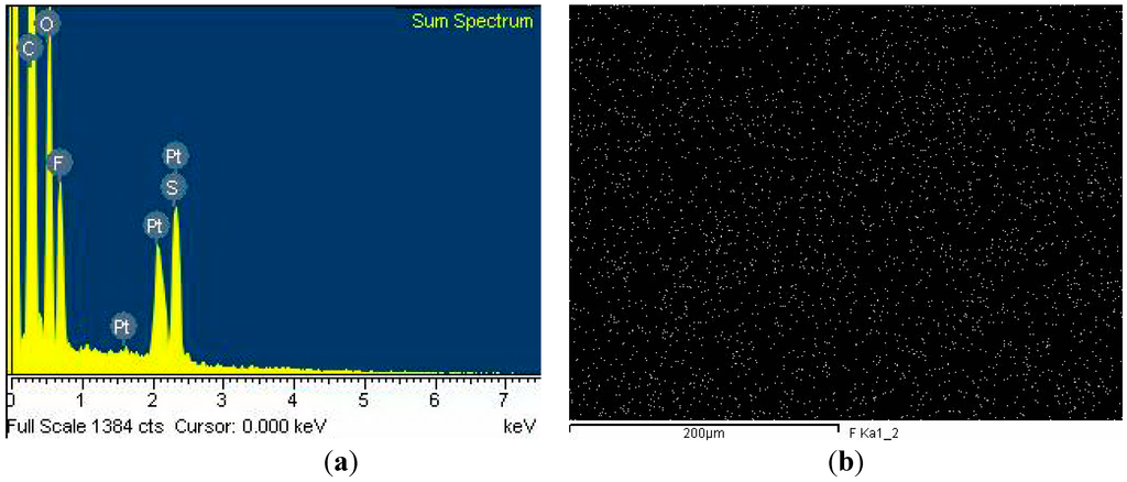 Polymers 07 01046 g009 1024