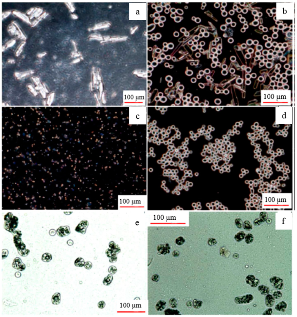 Polymers 07 01088 g006 1024