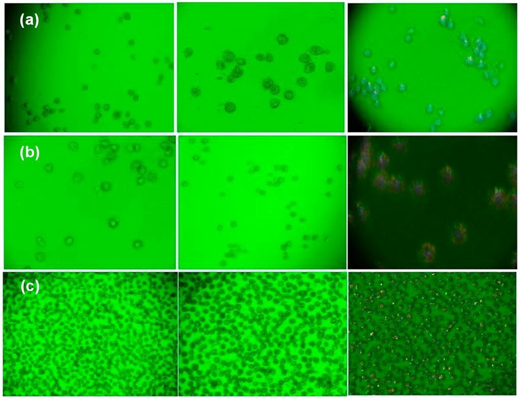 Polymers 07 01145 g015 1024