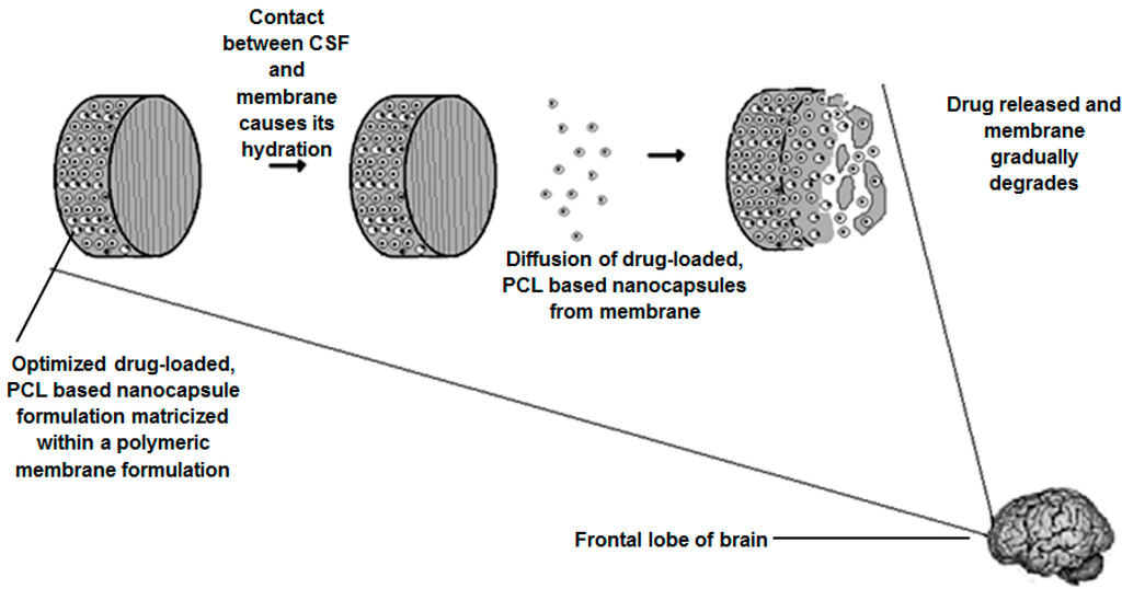 Polymers 07 01145 g017 1024