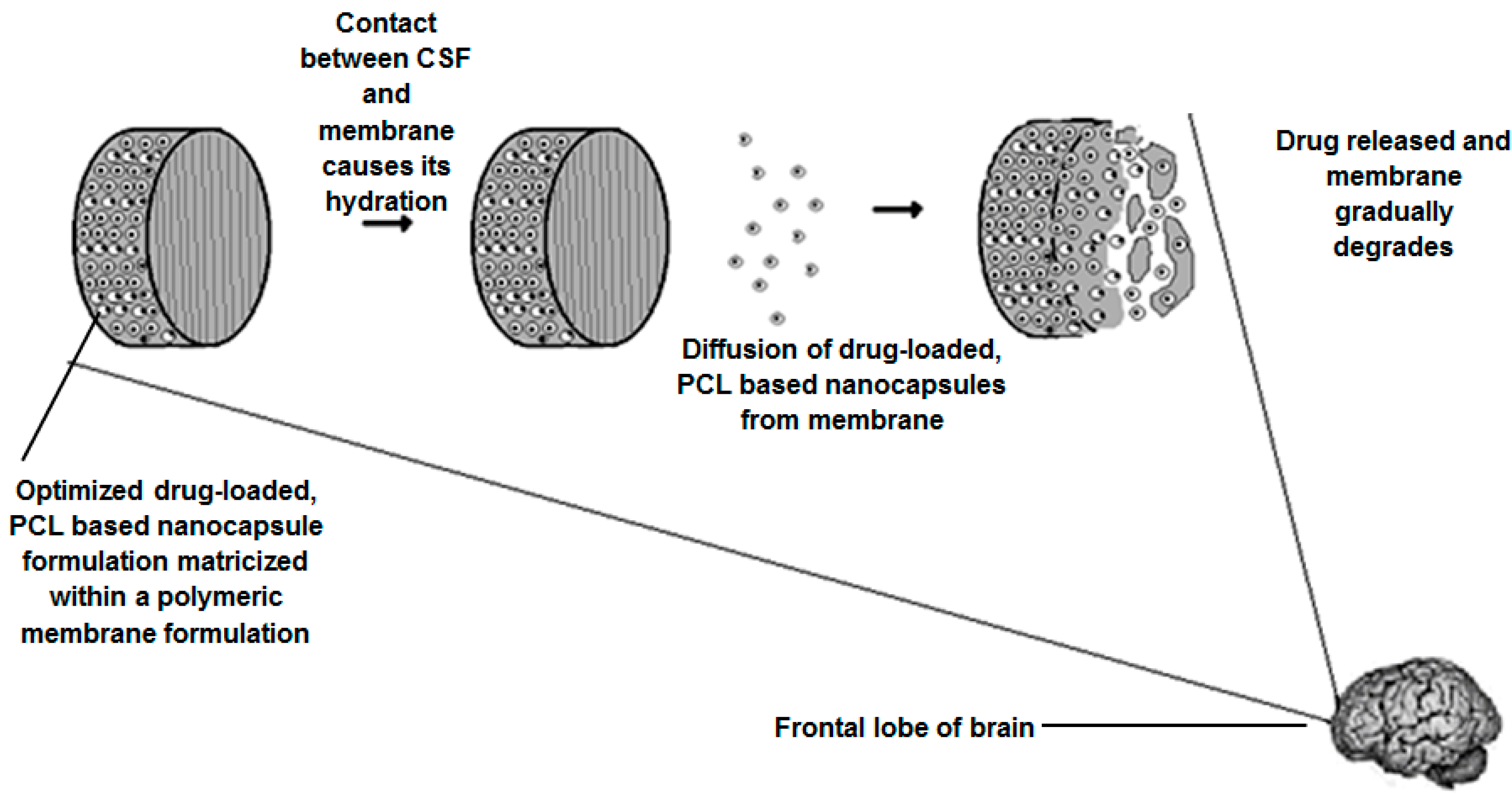 Polymers 07 01145 g017