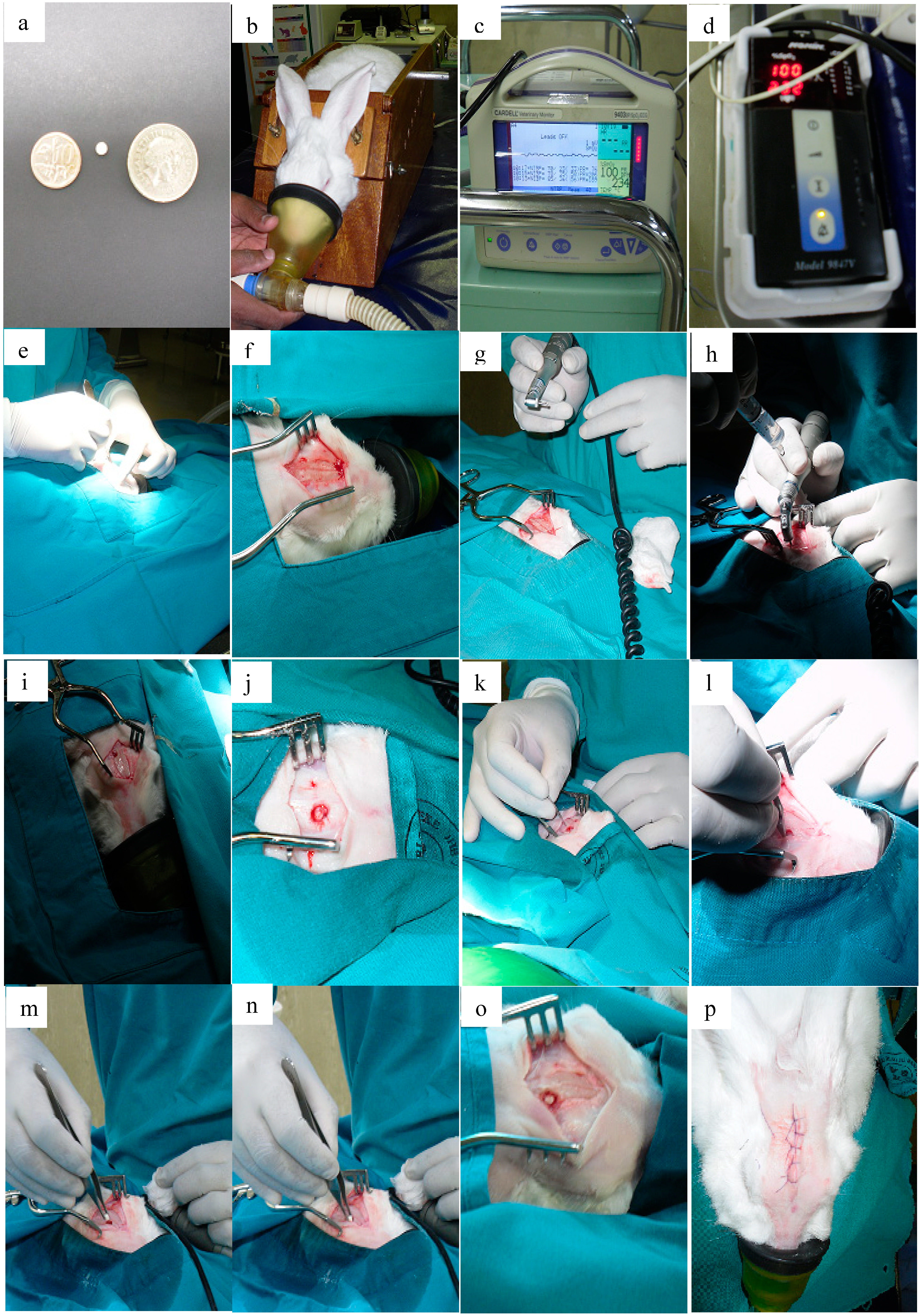 Polymers 07 01145 g018