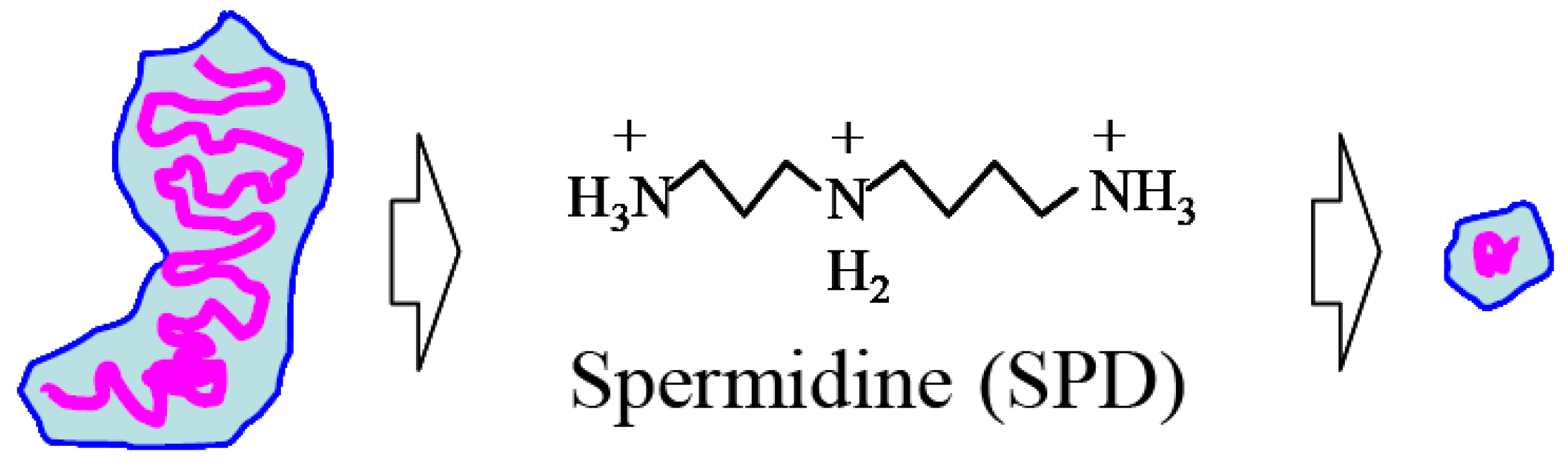 Polymers 07 01279 g009