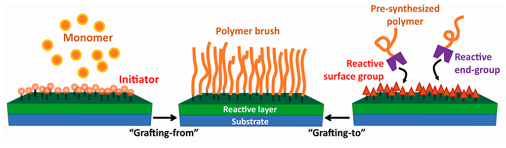 Polymers 07 01346 g001 1024