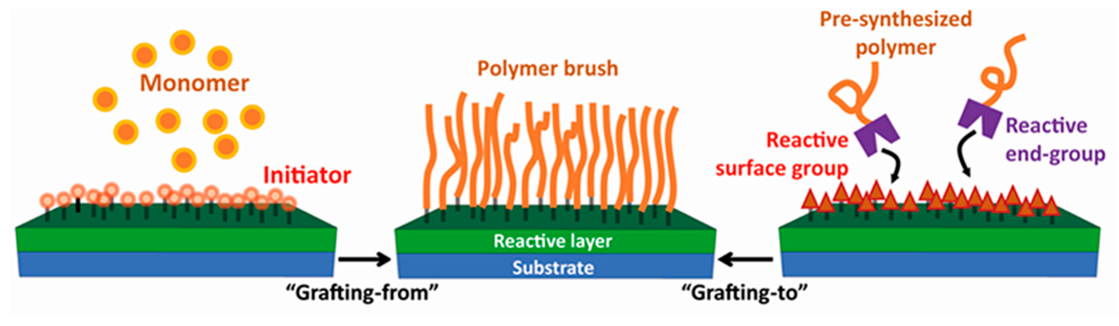 Polymers 07 01346 g001