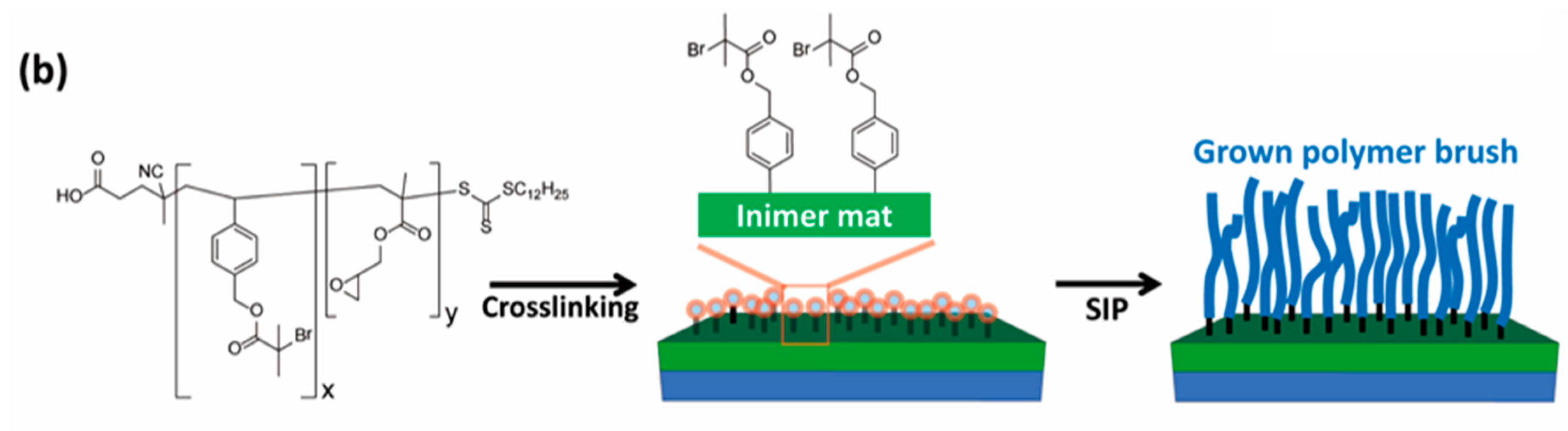 Polymers 07 01346 g005b