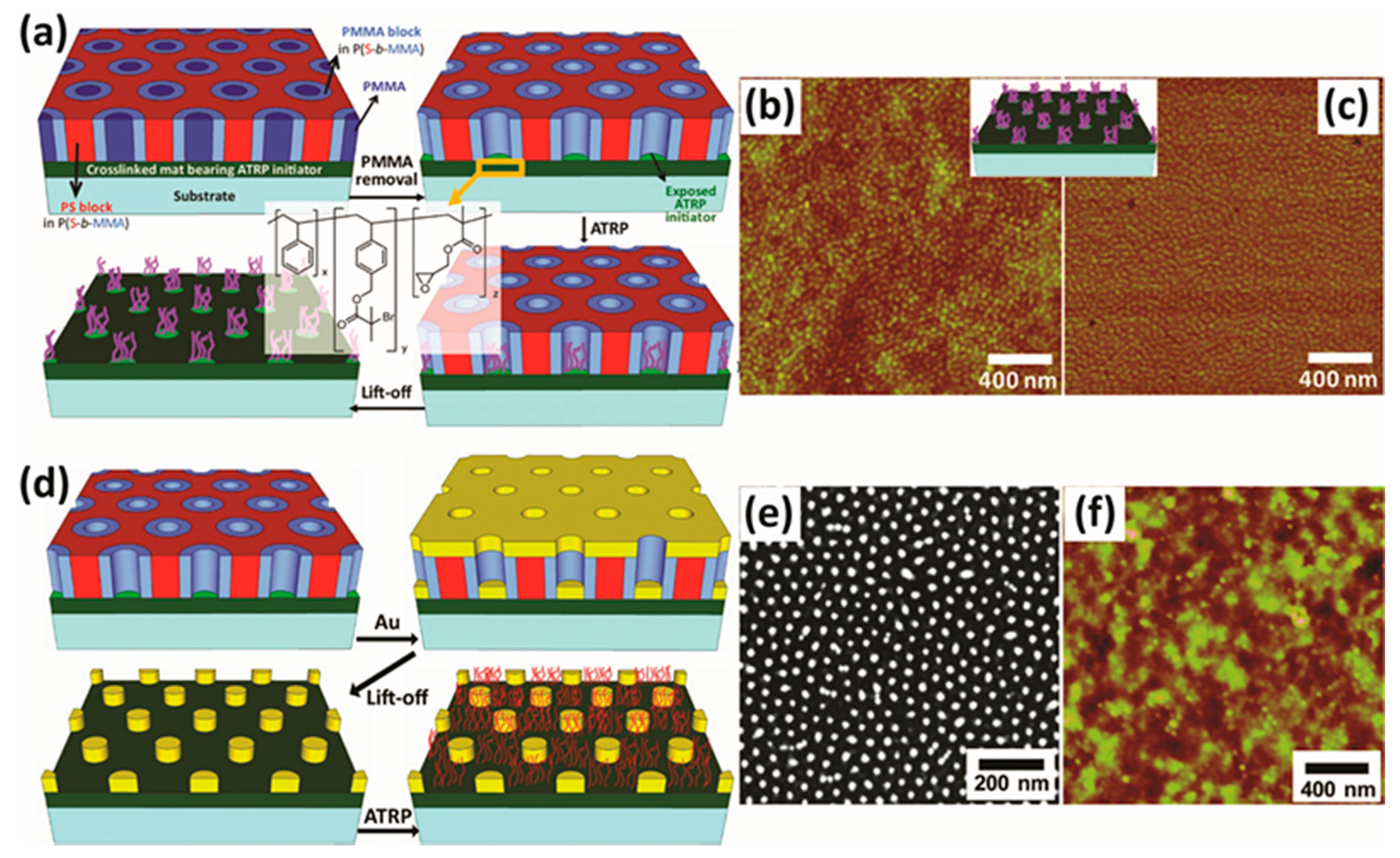 Polymers 07 01346 g007