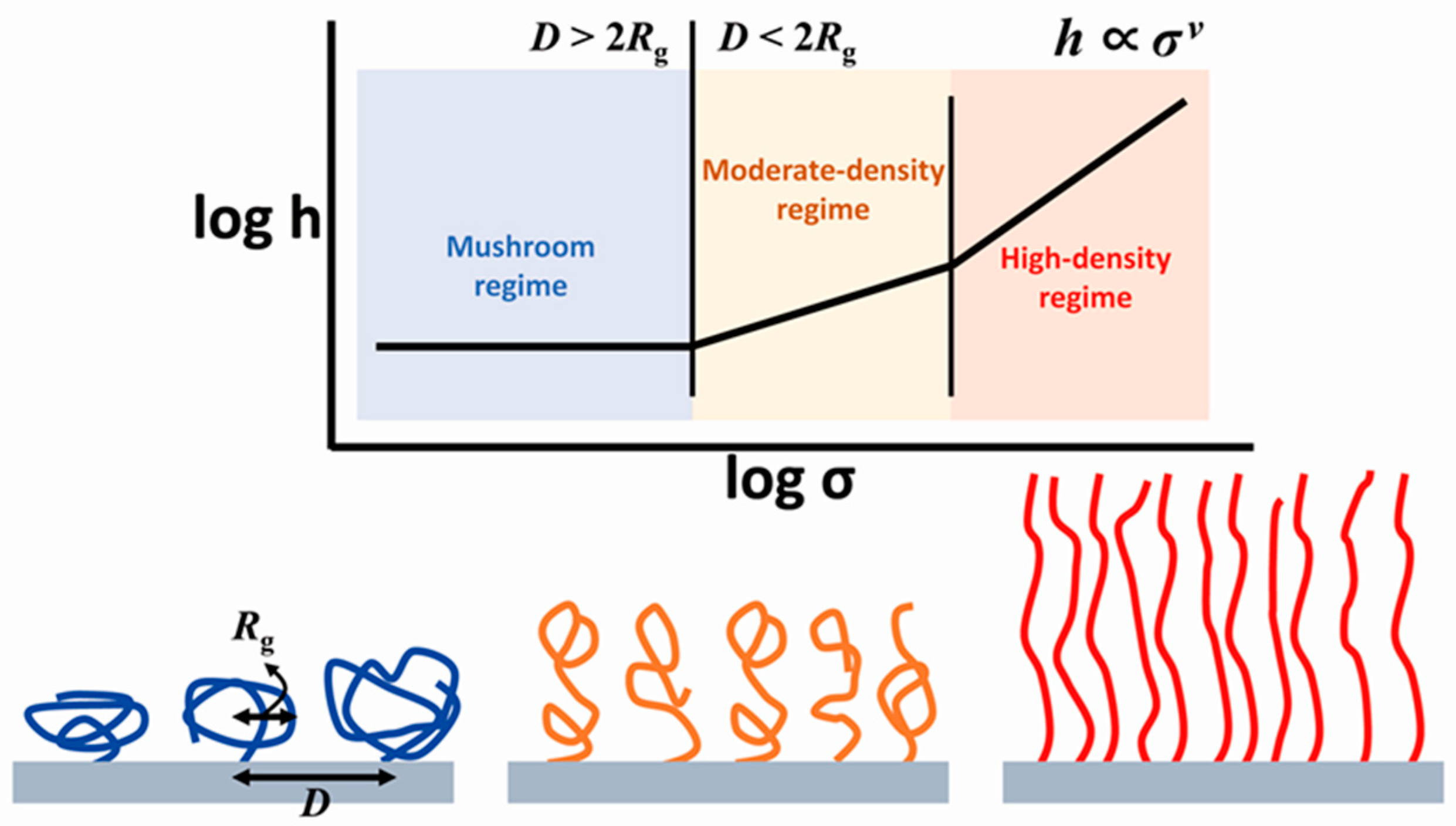 Polymers 07 01346 g008