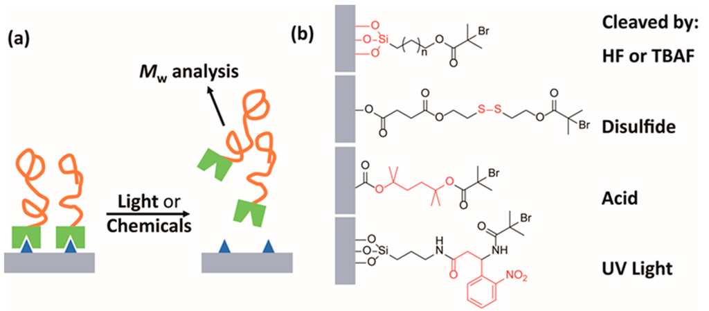 Polymers 07 01346 g009 1024