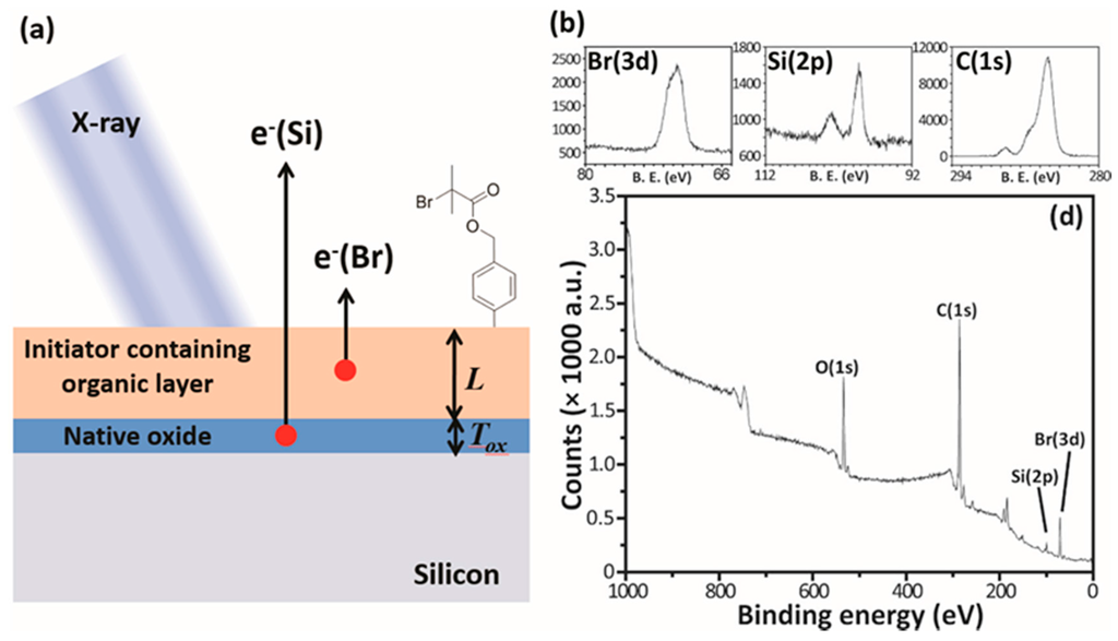 Polymers 07 01346 g010 1024