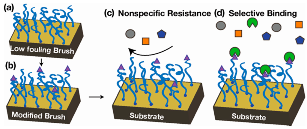 Polymers 07 01346 g011 1024