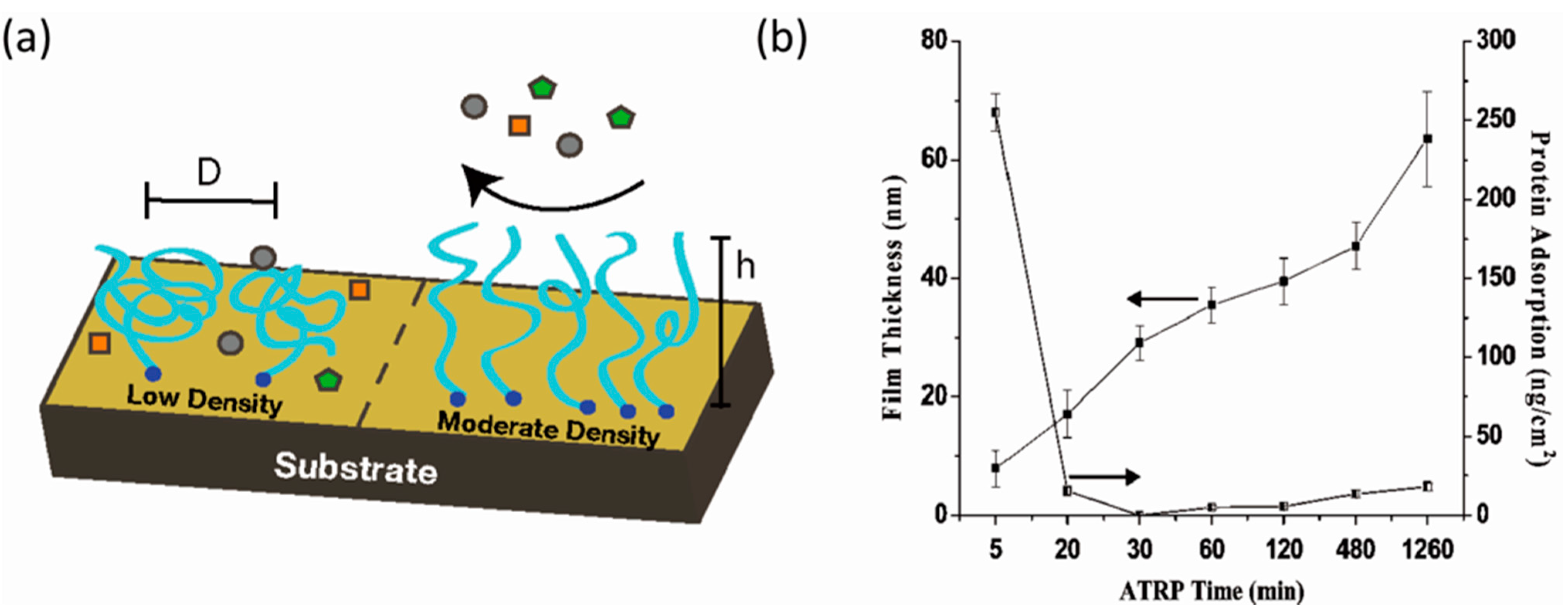 Polymers 07 01346 g012
