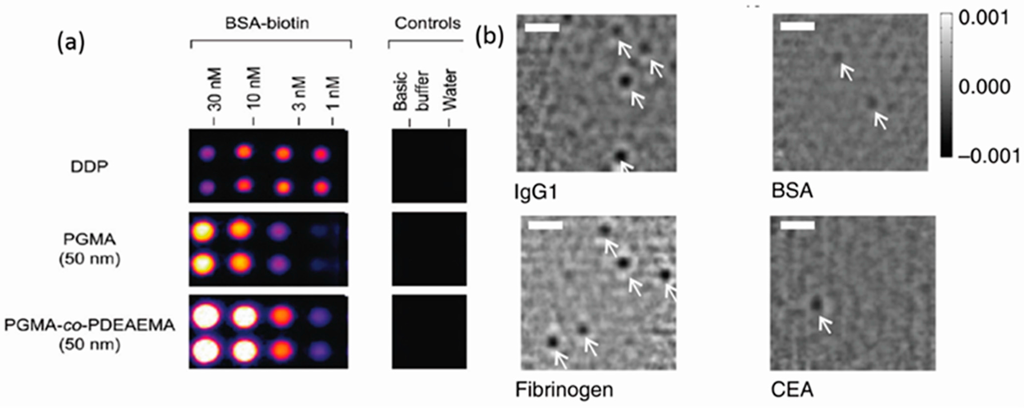 Polymers 07 01346 g014 1024