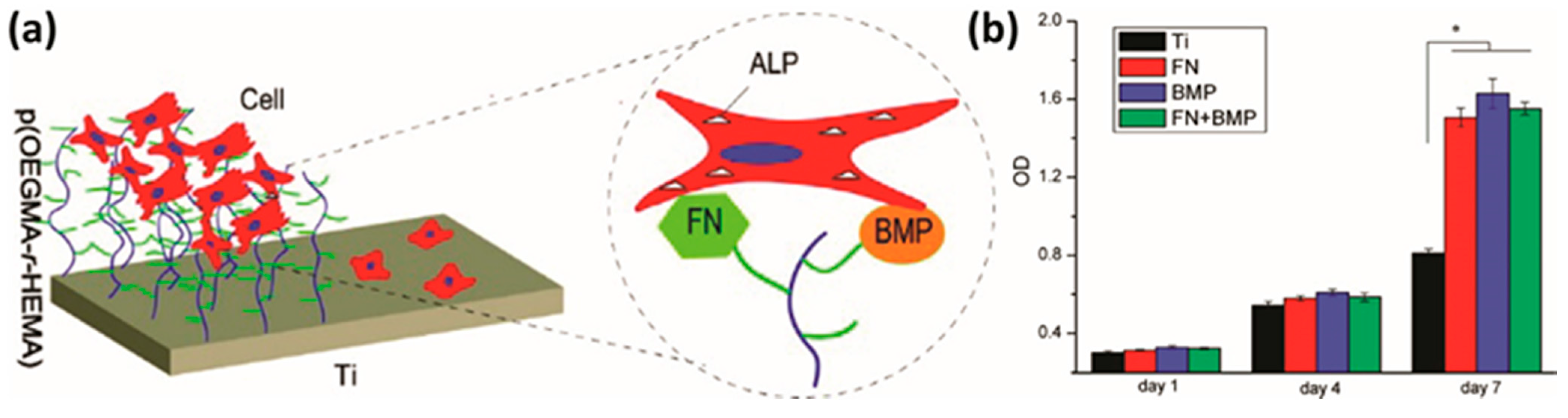 Polymers 07 01346 g015
