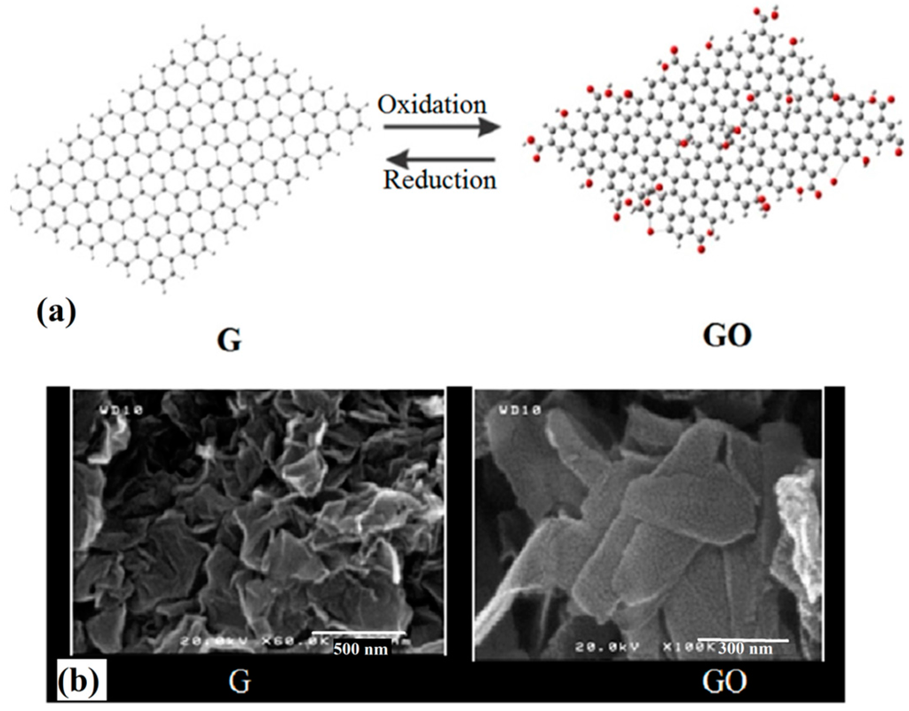 Polymers 07 01444 g001 1024