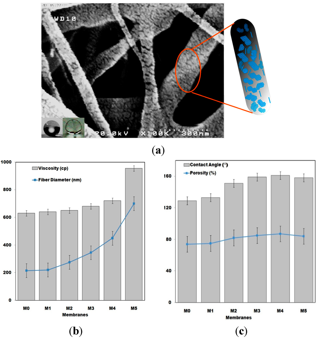 Polymers 07 01444 g004 1024