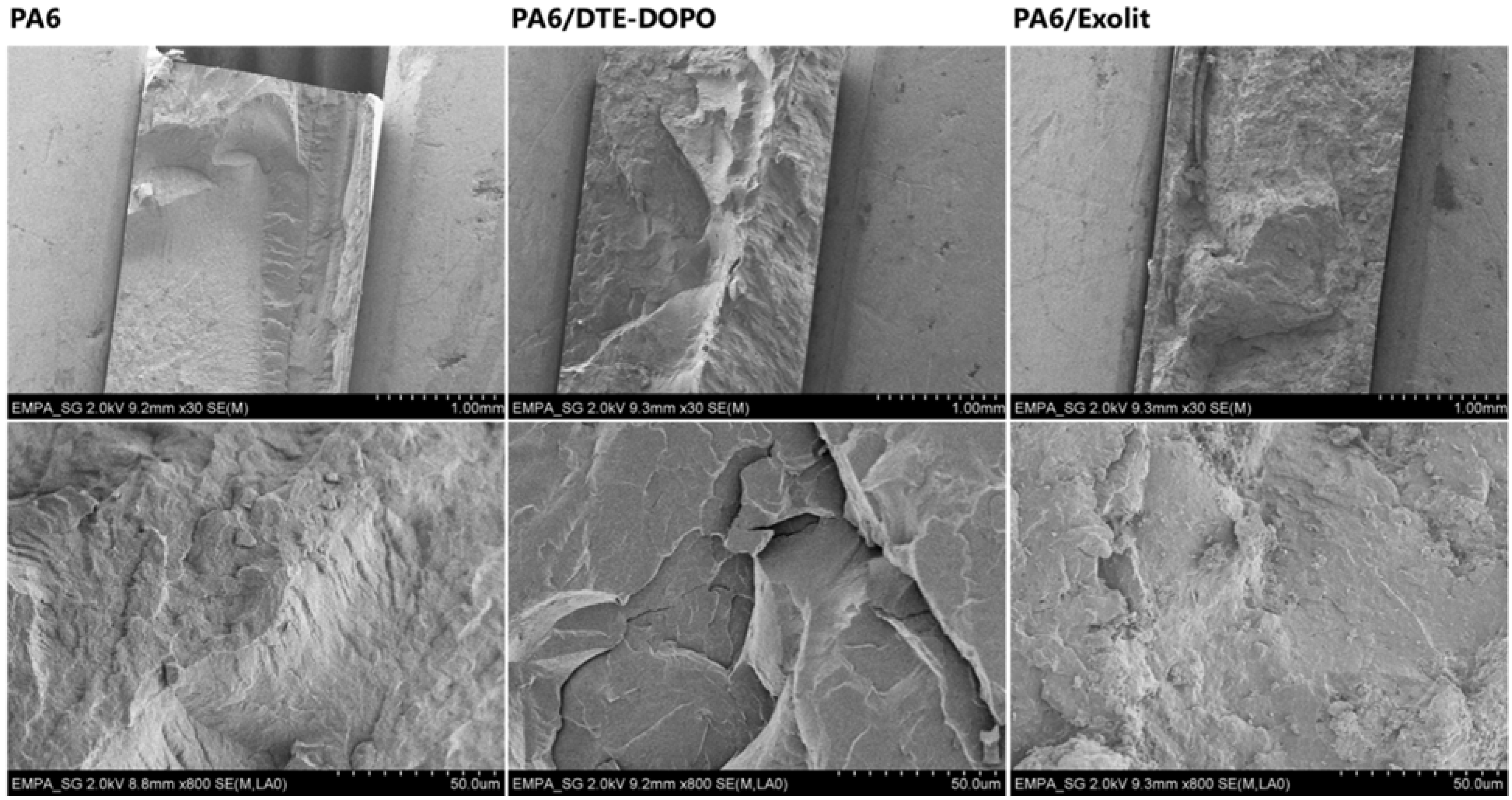 Polymers 07 01469 g004