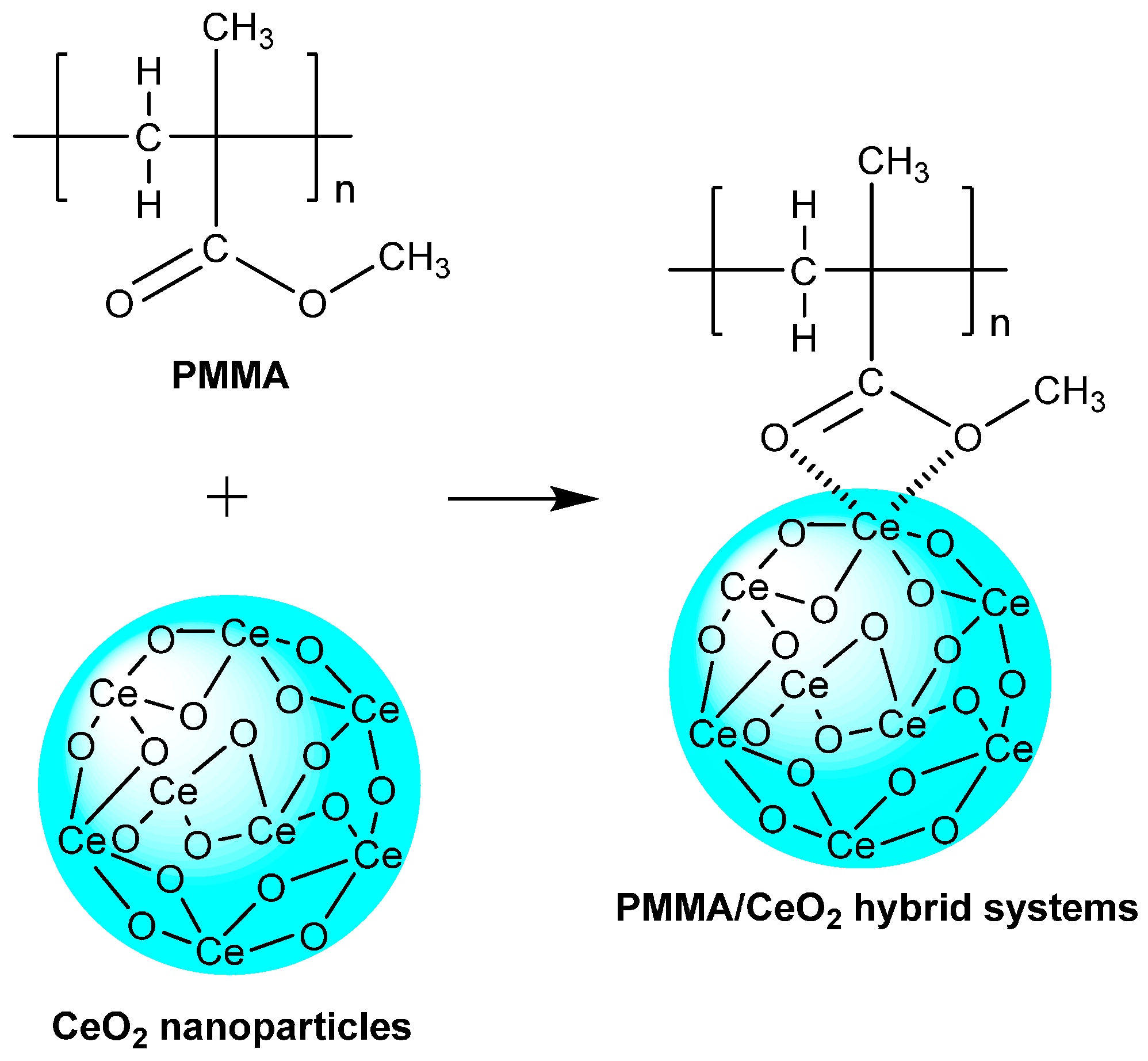 Polymers 07 01474 g003
