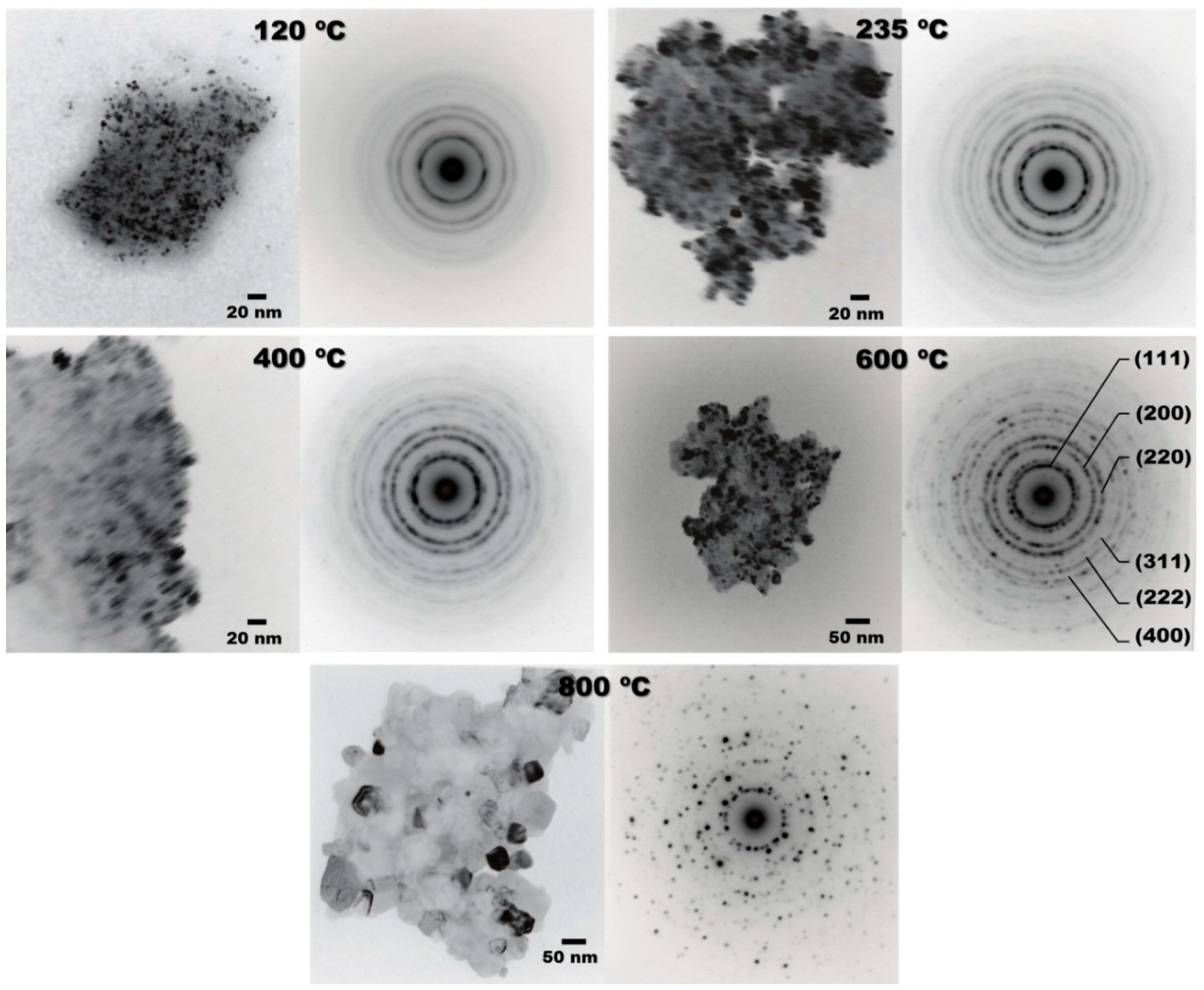 Polymers 07 01474 g005