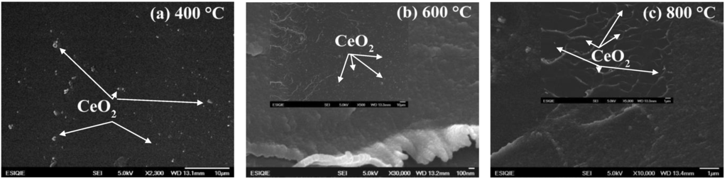 Polymers 07 01474 g008 1024