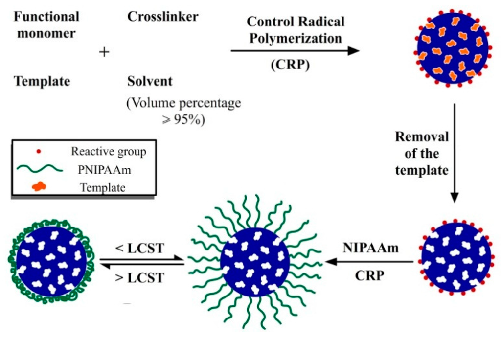 Polymers 07 01478 g003 1024