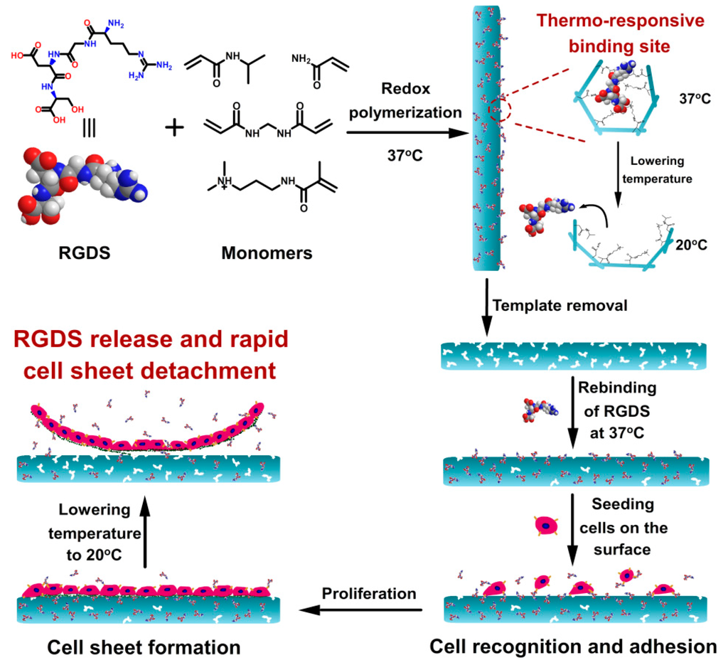 Polymers 07 01478 g004 1024