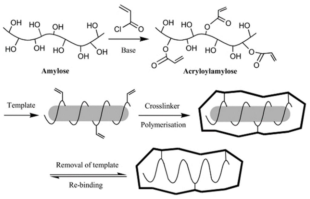 Polymers 07 01478 g005 1024