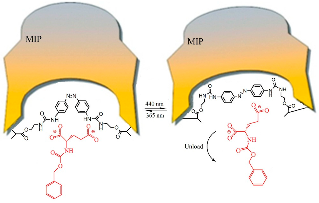 Polymers 07 01478 g008 1024