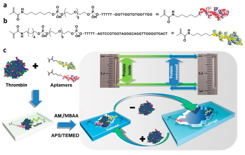 Polymers 07 01478 g009 1024