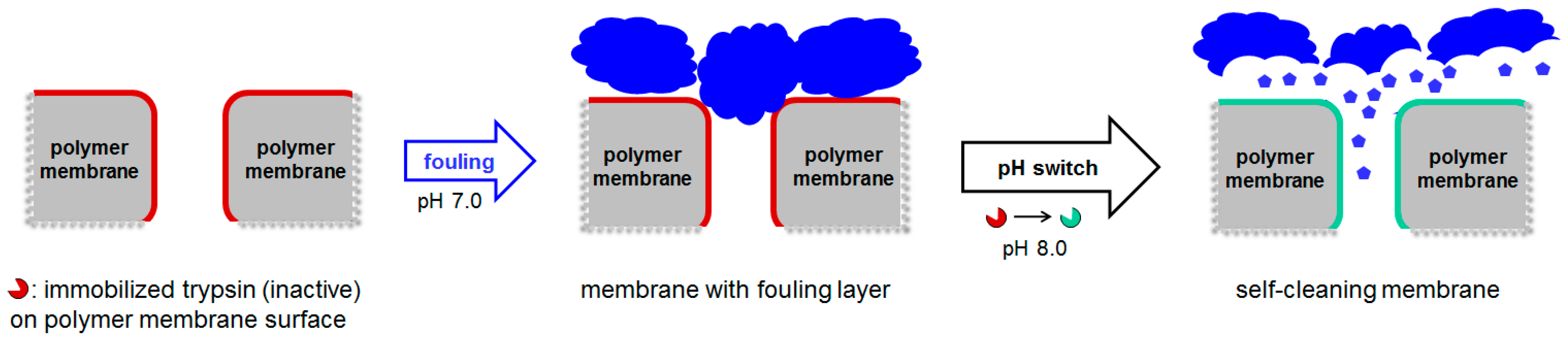 Polymers 07 01485 g002