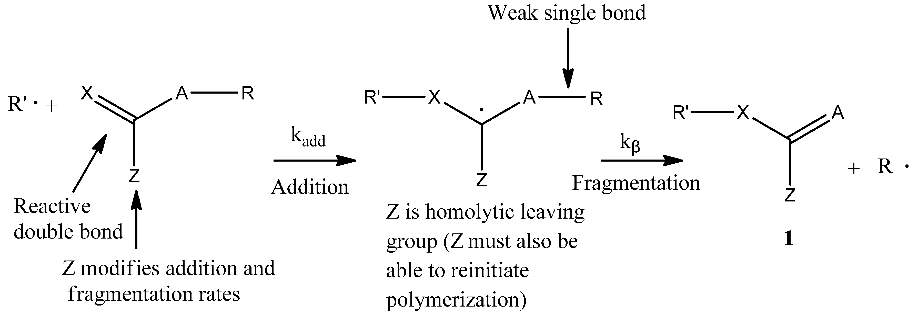 Polymers 07 01490 g014