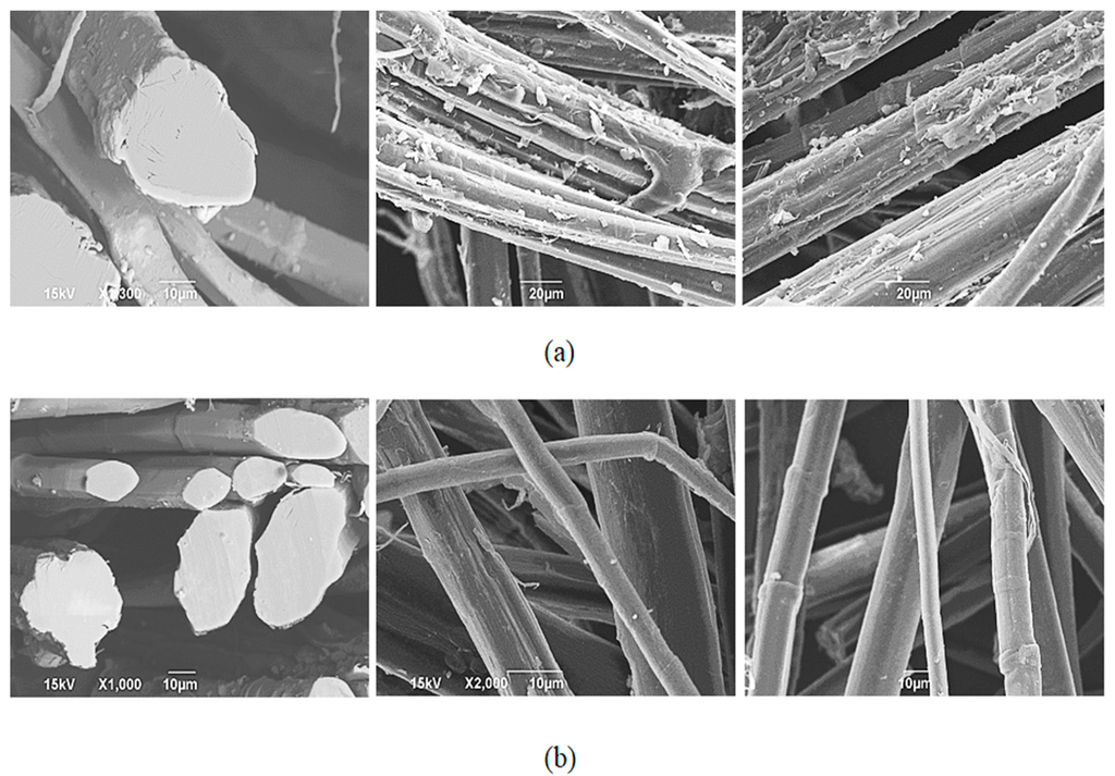 Polymers 07 01493 g002 1024