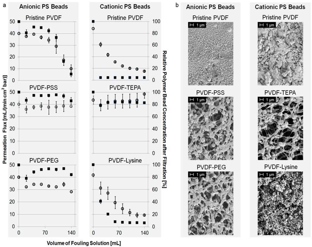 Polymers 07 01497 g004 1024