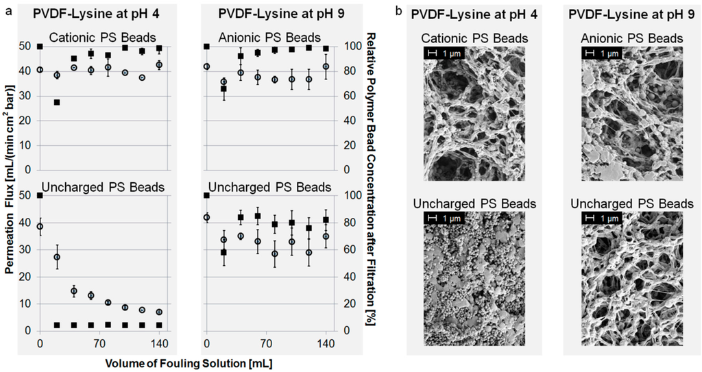 Polymers 07 01497 g005 1024