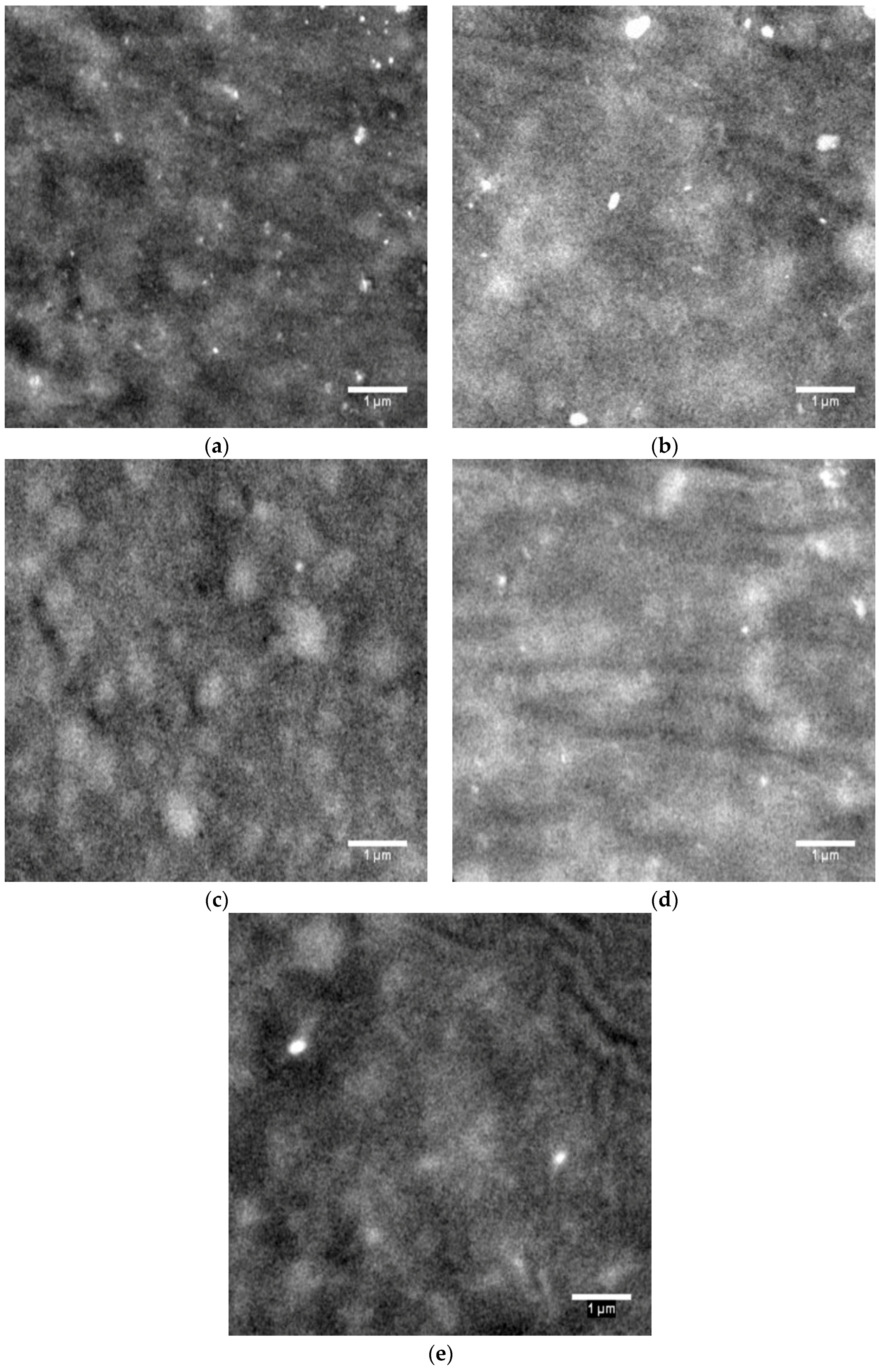 Polymers 07 01498 g006